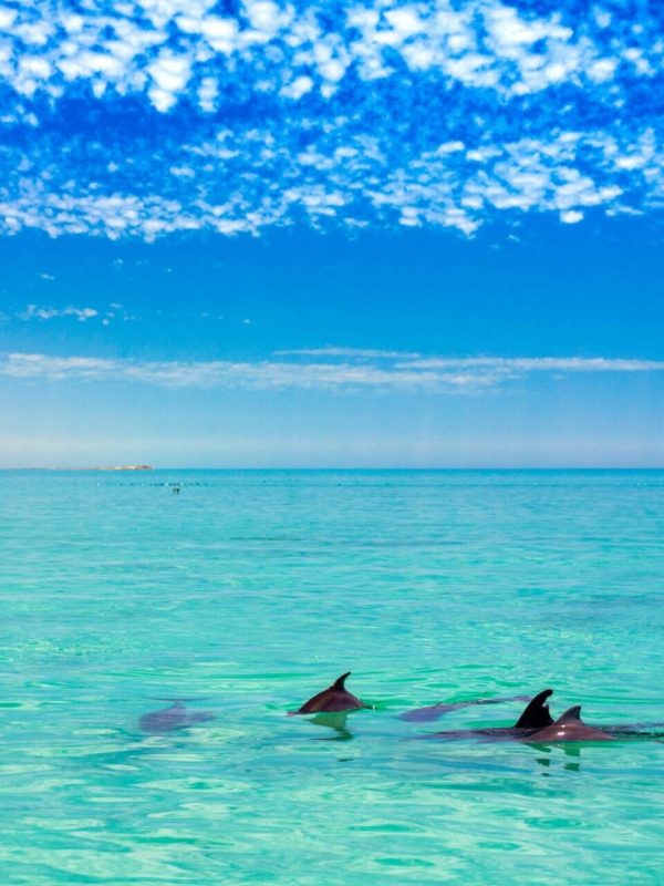 WILL WARDLE PHOTOGRAPHY, SUMMER HOLLIDAYS WILL WARDLE PHOTOGRAPHY,
SUMMER HOLLIDAYS