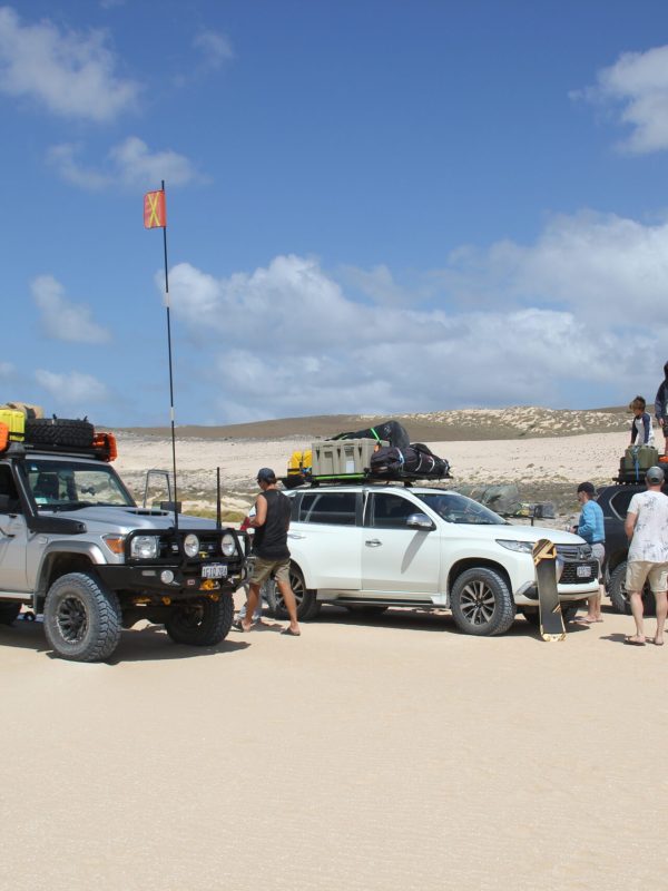 Tour-group-vehicles Tour-group-vehicles